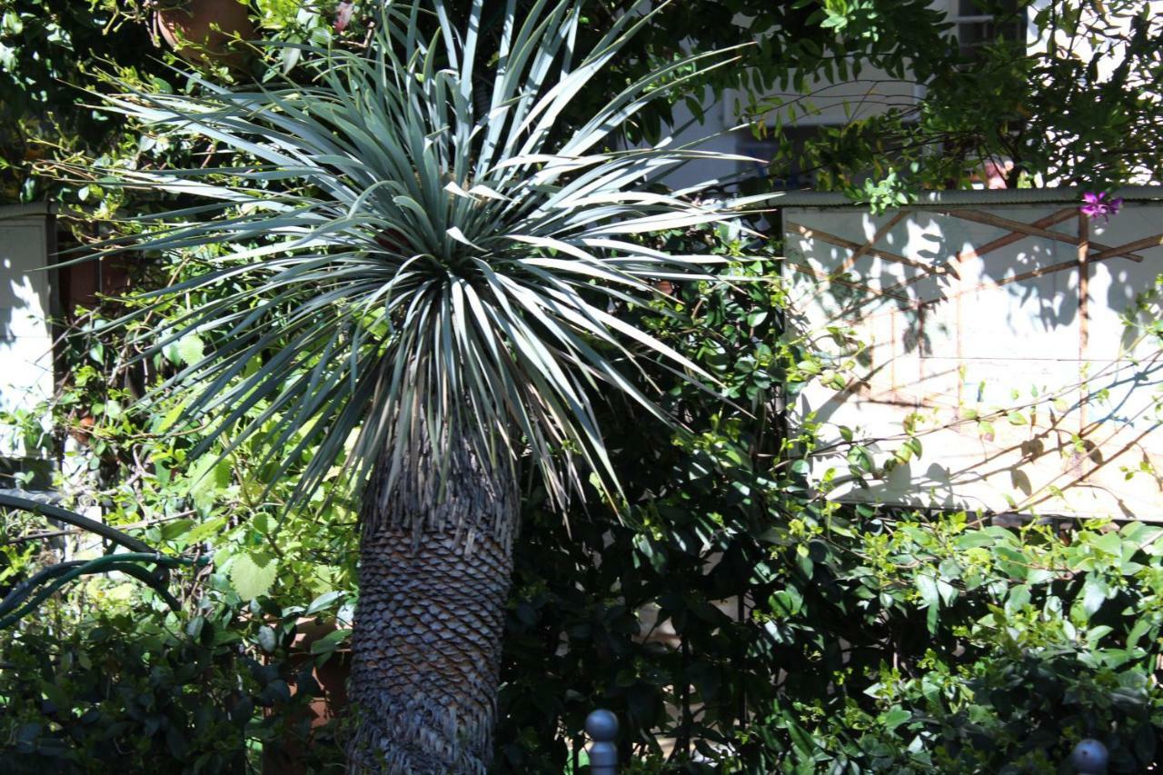 Bed & Breakfast Casa Anna Rita Vietri Εξωτερικό φωτογραφία