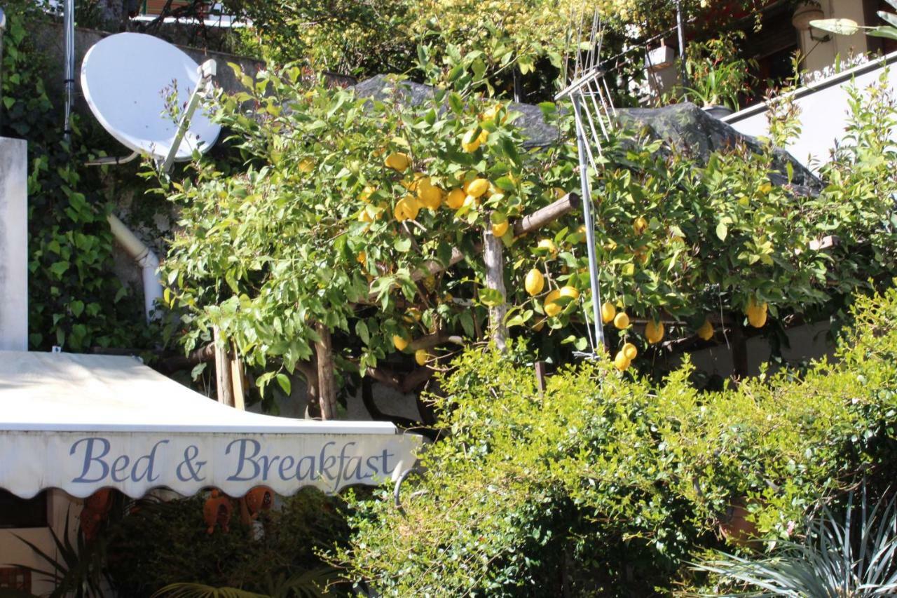 Bed & Breakfast Casa Anna Rita Vietri Εξωτερικό φωτογραφία